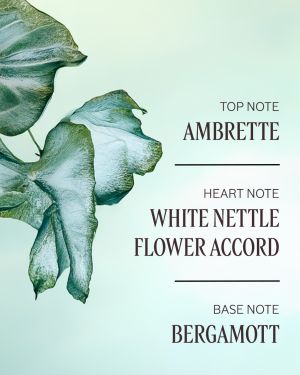 Ortie Blanche (Formerly Herbae) Perfumed Body Lotion