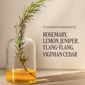 Volume & Strength Leave-In Detangling Mist