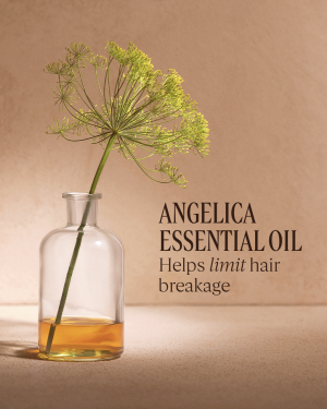 Intensive Repair Anti-Frizz Emulsion