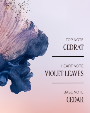 Lavande Poivre Noir (Formerly L'OCCITAN) Perfumed Shower Gel