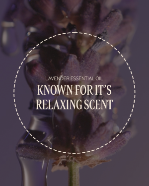 Lavender Home & Body